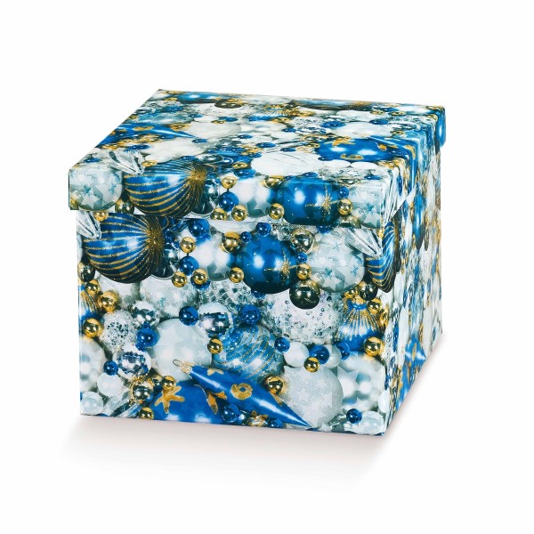 Ordnungsbox mit Deckel