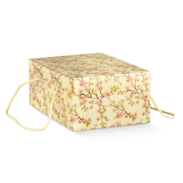 Geschenkkarton mit Kordel beige (235x335x140 mm)