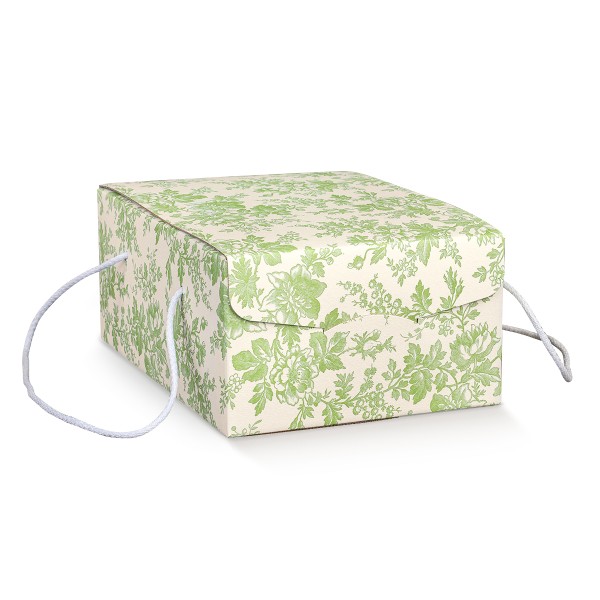 Geschenkkarton mit Kordel grün (235x335x140 mm)